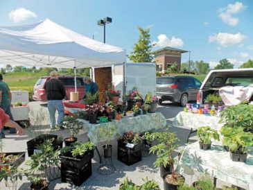 Starting a Farmers’ Market Image